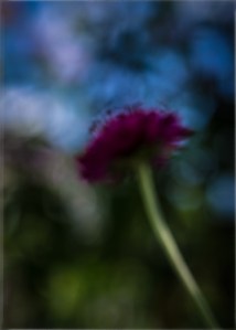 ian-antonio-patterson.com, ian antonio patterson, Schnappshots,