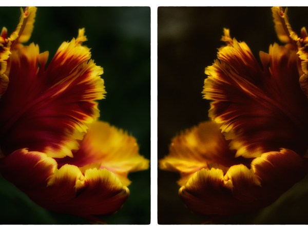 iantonio.com, dance photography, berlin, dragon shoot, artifice