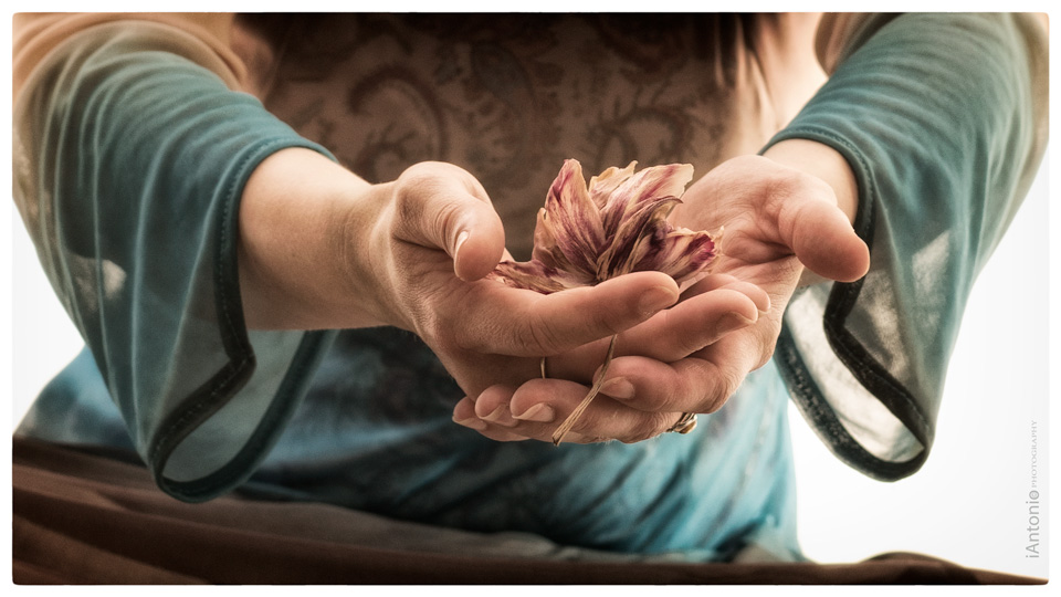 ian antonio patterson; iAntonio, iAntonio-photography, iAntonio photography, ARTICULATE